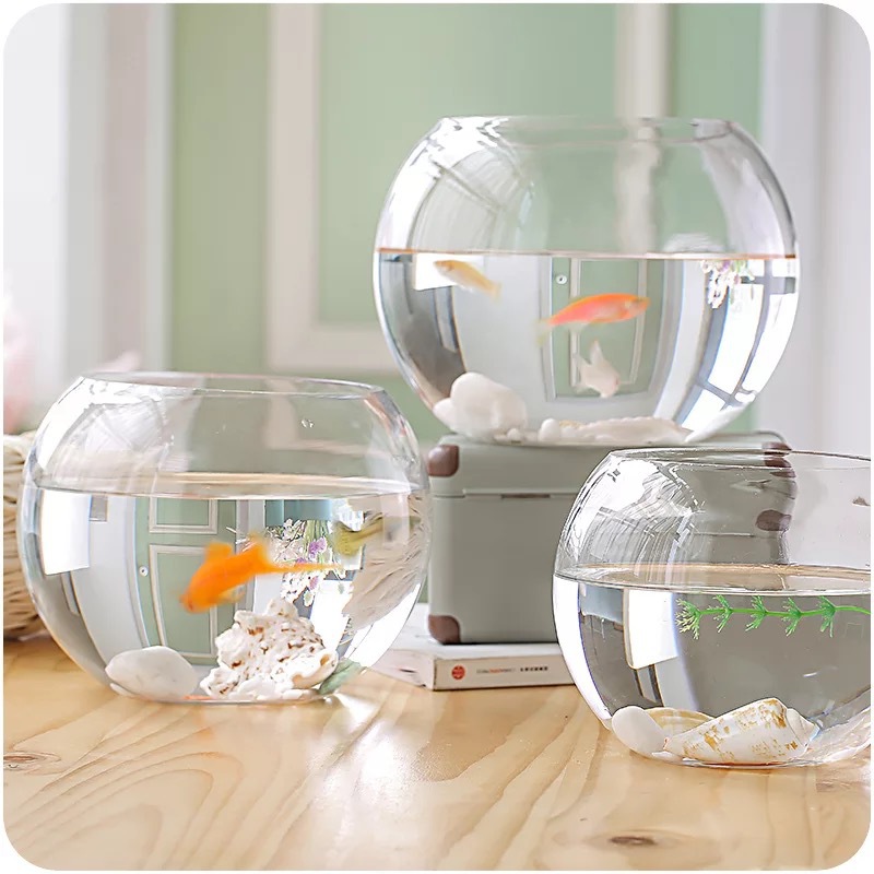 A03510009 ball shape fish tank