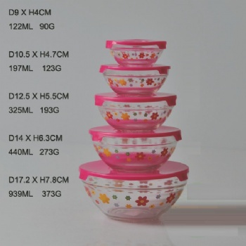  B01250012 5pcs bowl set	