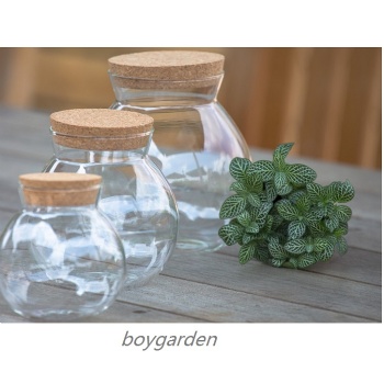 glass storage jar with wooden flat lidB05113101